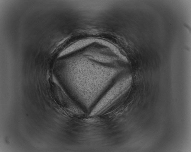 X0000092301205200710051214