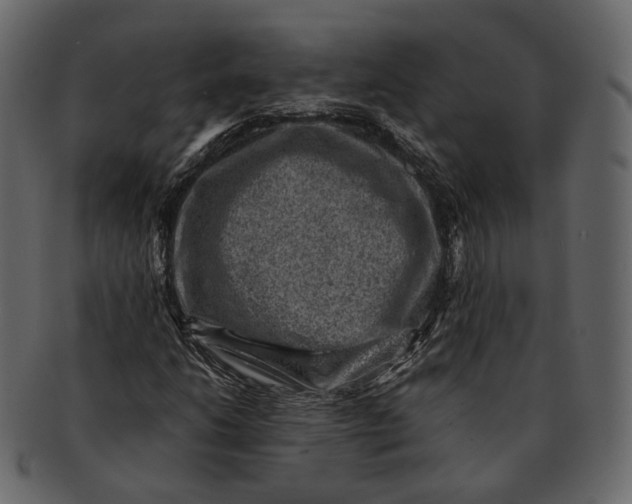 X0000092301206200710051214