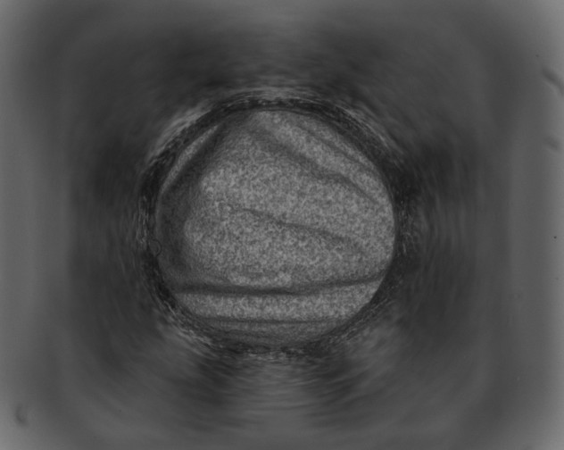 X0000092301207200710051214