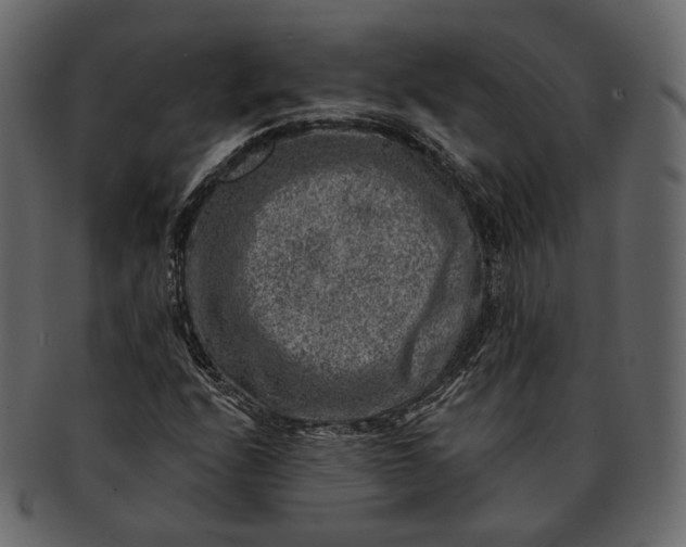 X0000092301208200710051214