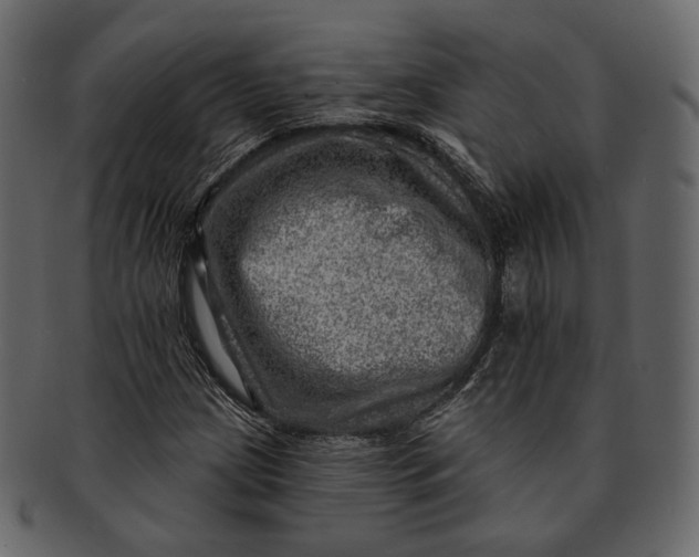 X0000092301209200710051214