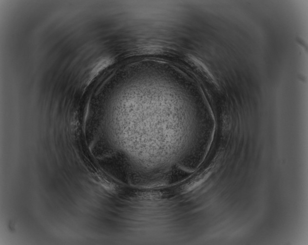 X0000092301210200710051214