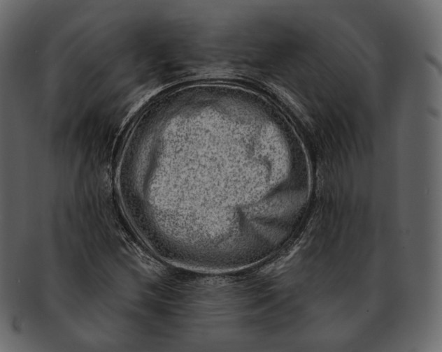 X0000092301212200710051214