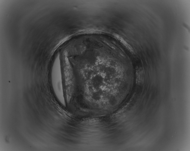 X0000092301213200710051214