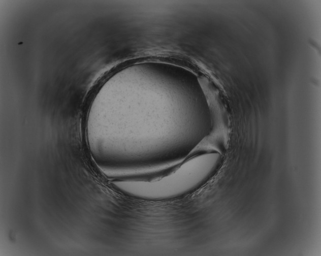 X0000092301214200710051214