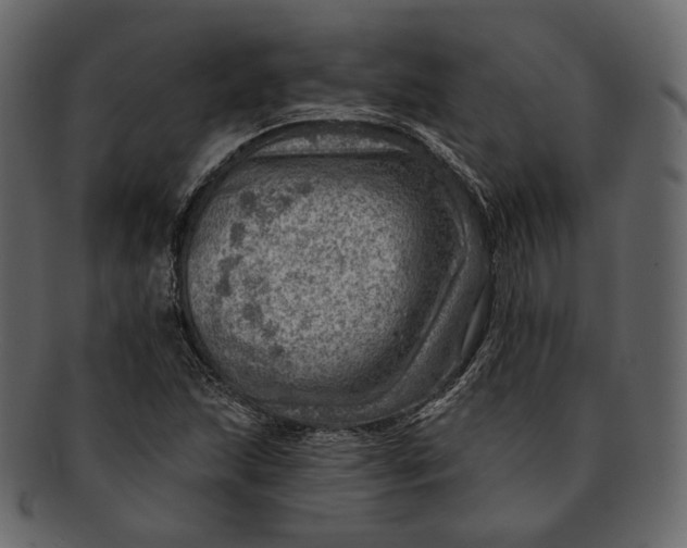 X0000092301215200710051214