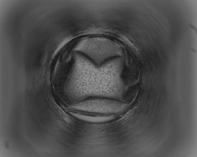 X0000092301216200710051214