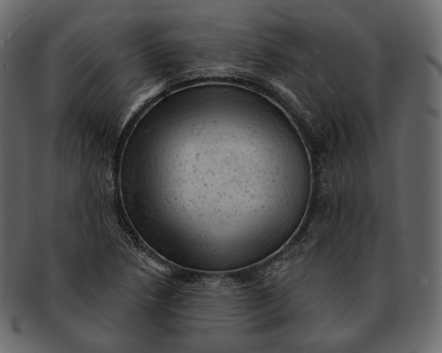 X0000092301218200710051214