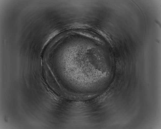 X0000092301219200710051214