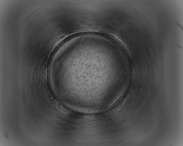 X0000092301220200710051214