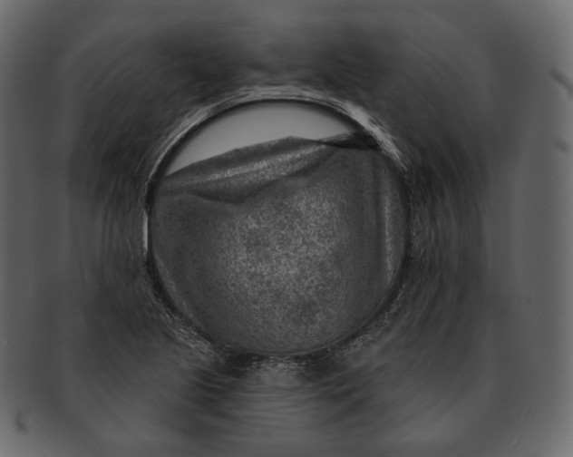 X0000092301221200710051214