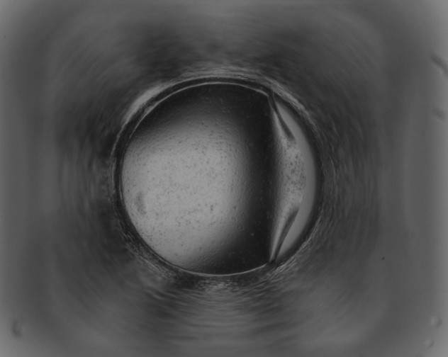 X0000092301222200710051214