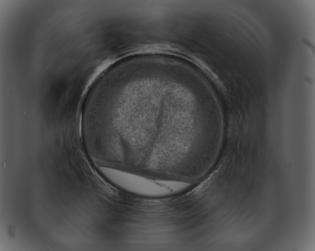 X0000092301224200710051214