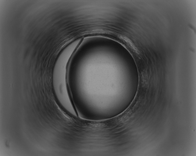 X0000092301225200710051214