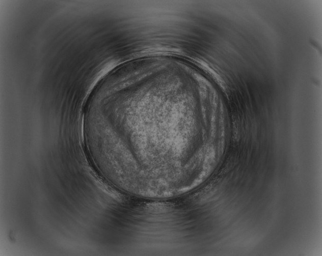 X0000092301227200710051214