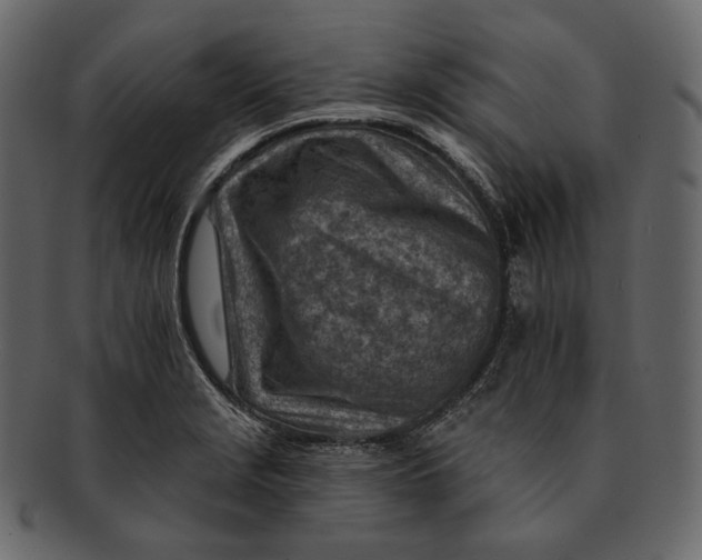 X0000092301229200710051214