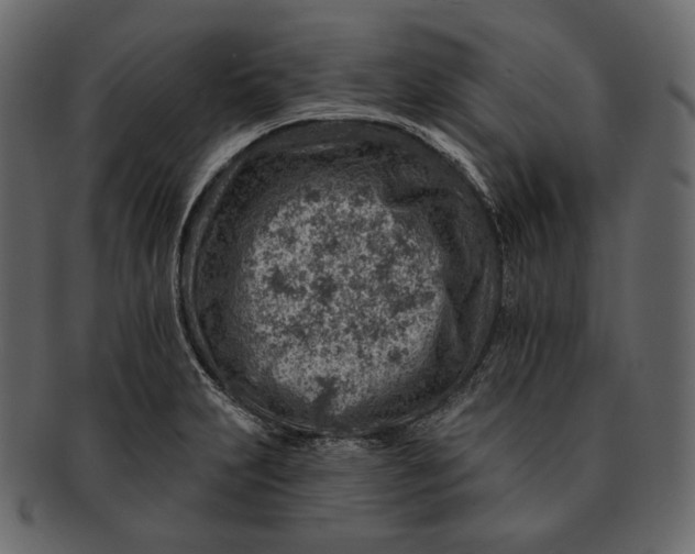 X0000092301231200710051214