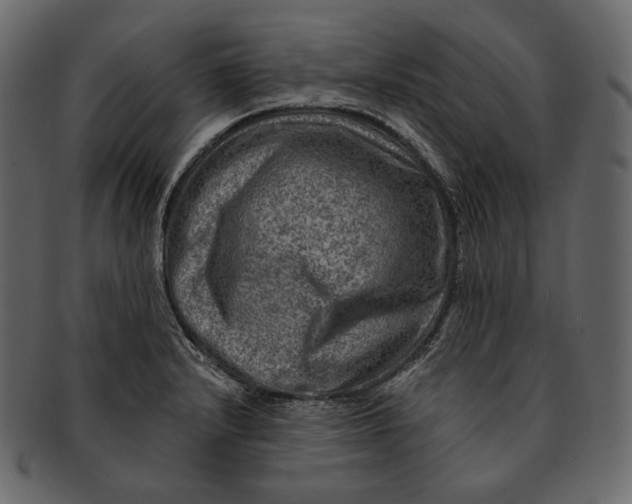 X0000092301232200710051214