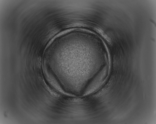 X0000092301233200710051214