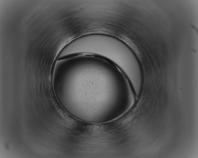 X0000092301234200710051214