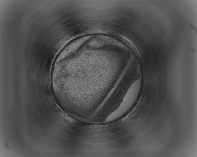 X0000092301236200710051214