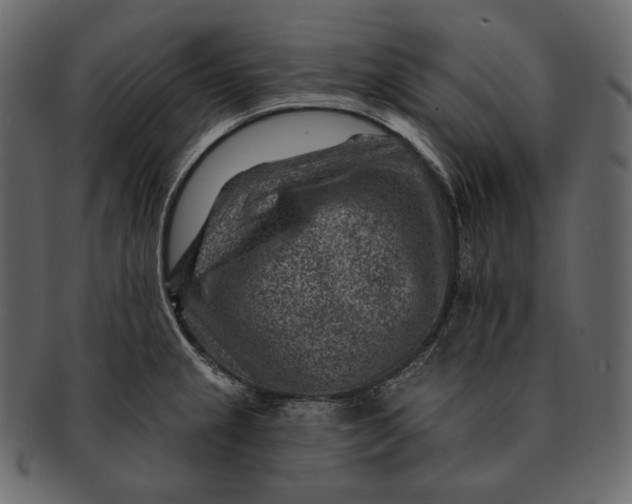 X0000092301237200710051214