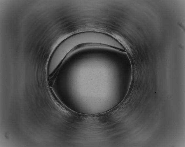 X0000092301238200710051214