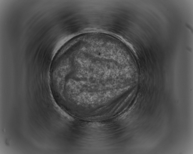 X0000092301239200710051214