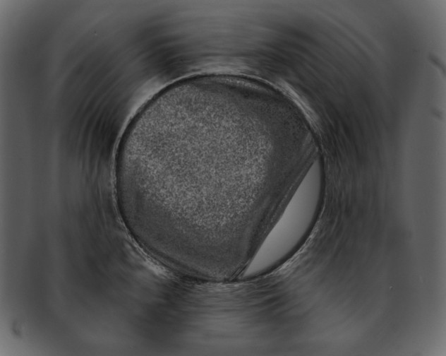 X0000092301240200710051214