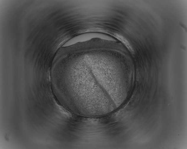 X0000092301241200710051214