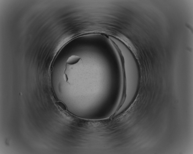 X0000092301242200710051214