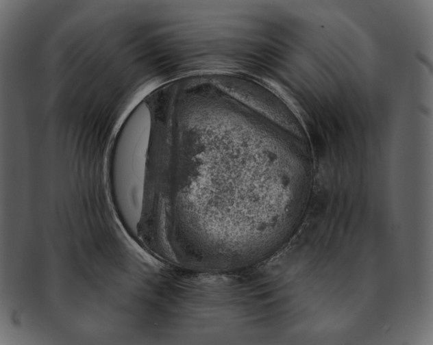 X0000092301243200710051214