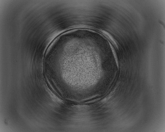 X0000092301244200710051214