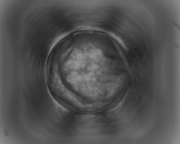 X0000092301247200710051214