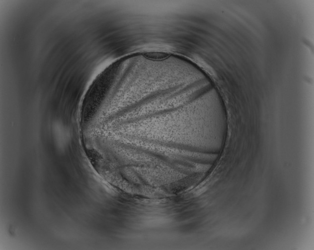 X0000092301248200710051214