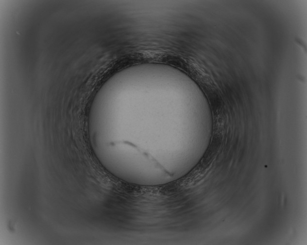 X0000092301249200710051214