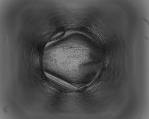 X0000092301250200710051214