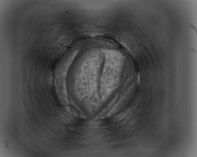 X0000092301251200710051214