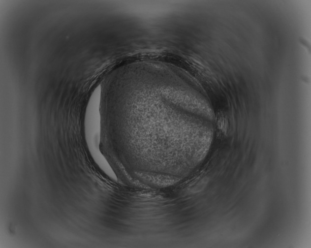 X0000092301252200710051214