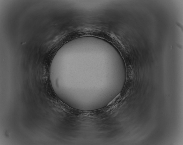 X0000092301253200710051214