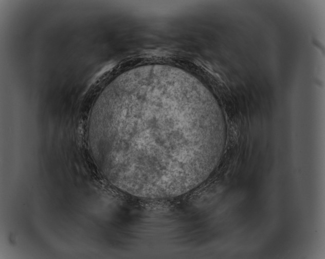 X0000092301254200710051214