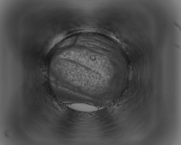 X0000092301255200710051214