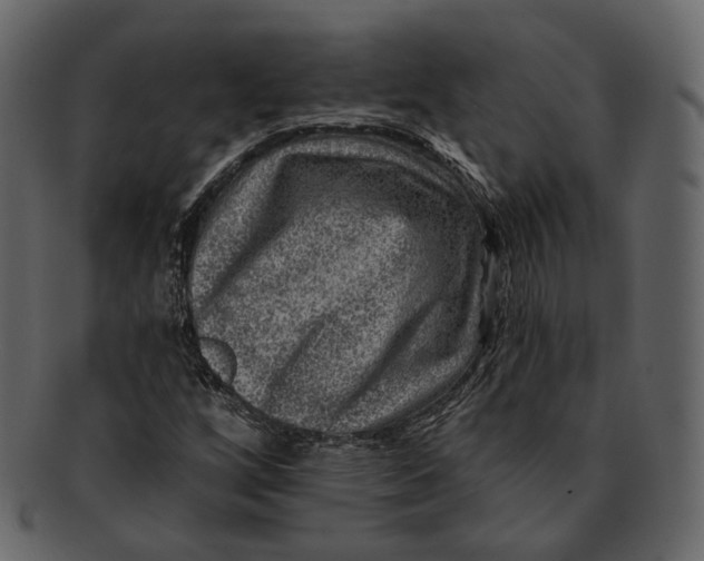 X0000092301256200710051214