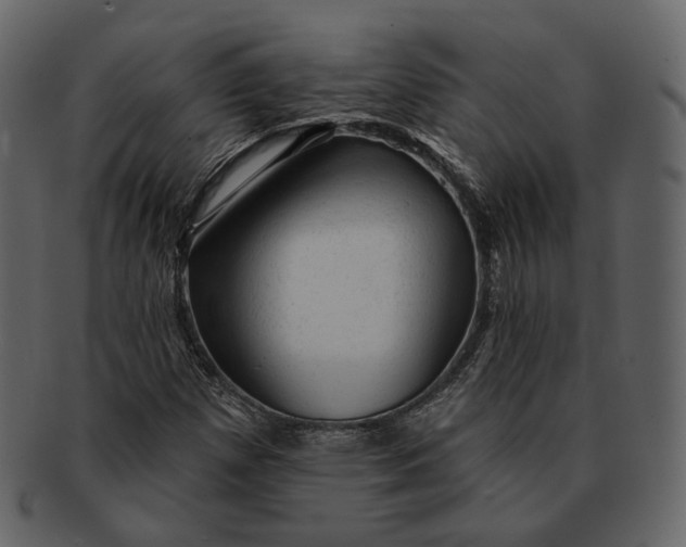 X0000092301257200710051214