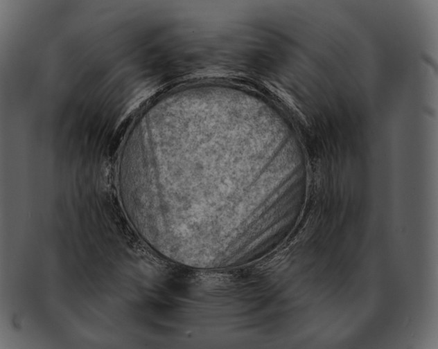 X0000092301258200710051214