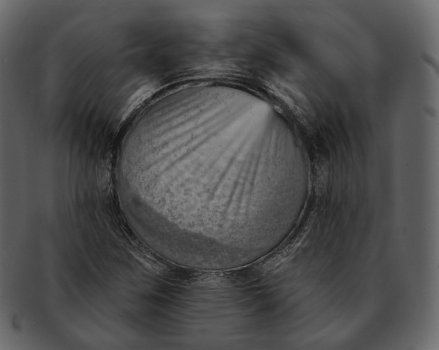 X0000092301259200710051214