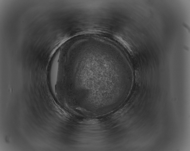 X0000092301260200710051214