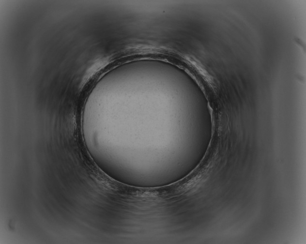 X0000092301261200710051214