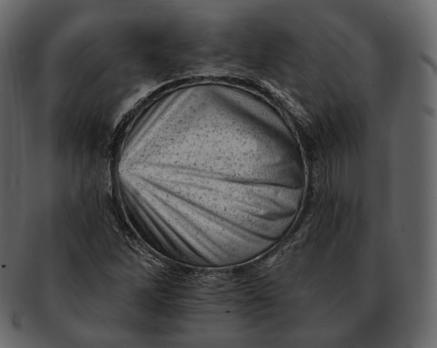 X0000092301262200710051214