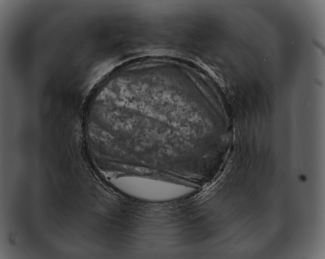 X0000092301263200710051214